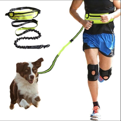 Hands Free Dog Leash: The Shock Absorbing Bungee Leash For Up To 180lbs Large Dogs