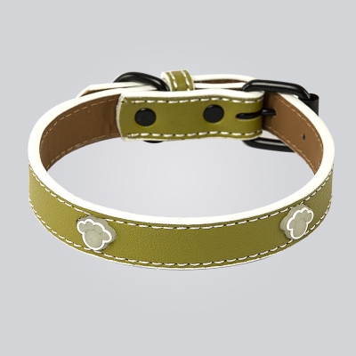 Adjustable Luminous Pet Collar