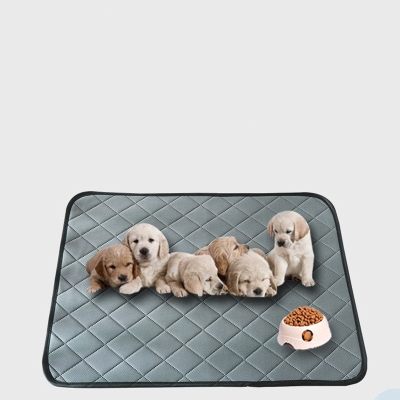 Pet dog diapers