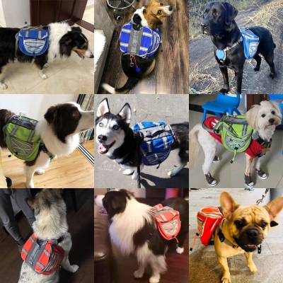 Pets from backpacks outdoor self-backing