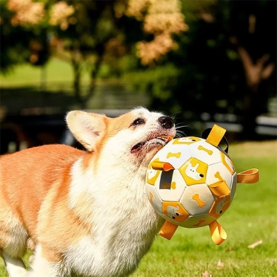 Dog Interactive Football Toy - Pet Sporty Bite Chew Teething Ball