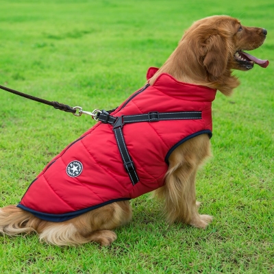 Dog Clothes Chest Back Integrated Vest Pet Cotton Winter Clothes