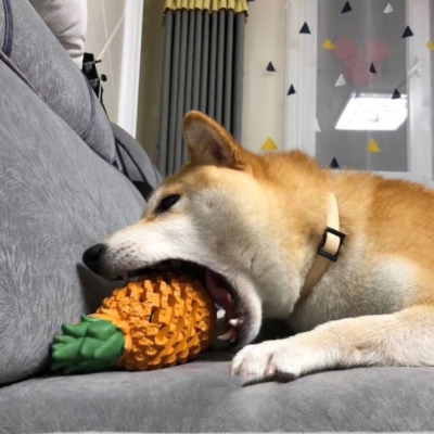 Funny Fruits Shape Dog Toy Pet Teeth Clean Molar Pet Toys