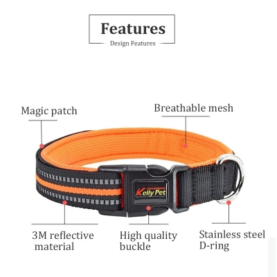 Diving material dog collar dog leash pet accessories