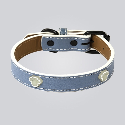 Adjustable Luminous Pet Collar