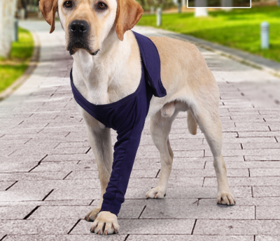 Anti-Licking Sleeve for Postoperative Recovery of Dog Legs - Pet