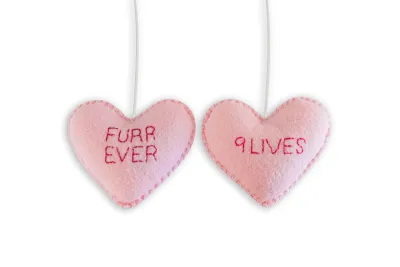 Limited Edition Valentine's Pom-Poms