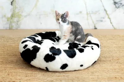 Fluffi Donut