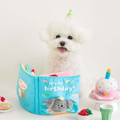 Birthday Sniff Book Nosework Dog Toy