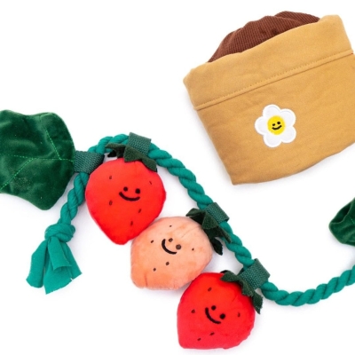 Strawberry Flower Pot Interactive Dog Toy