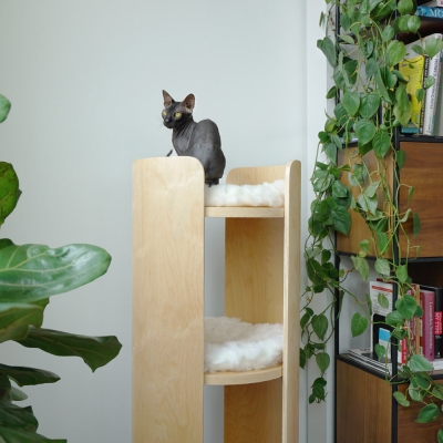 Castillo (Tall)