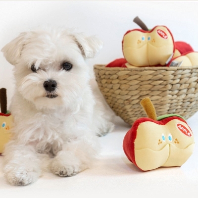 Apple Interactive Nosework Dog Toy