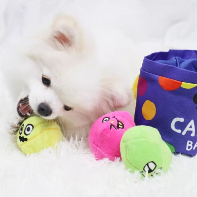 Candy Bucket Interactive Dog Toy