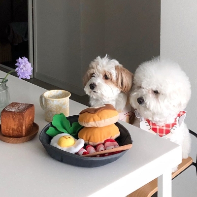 Breakfast Food Interactive Dog Toy