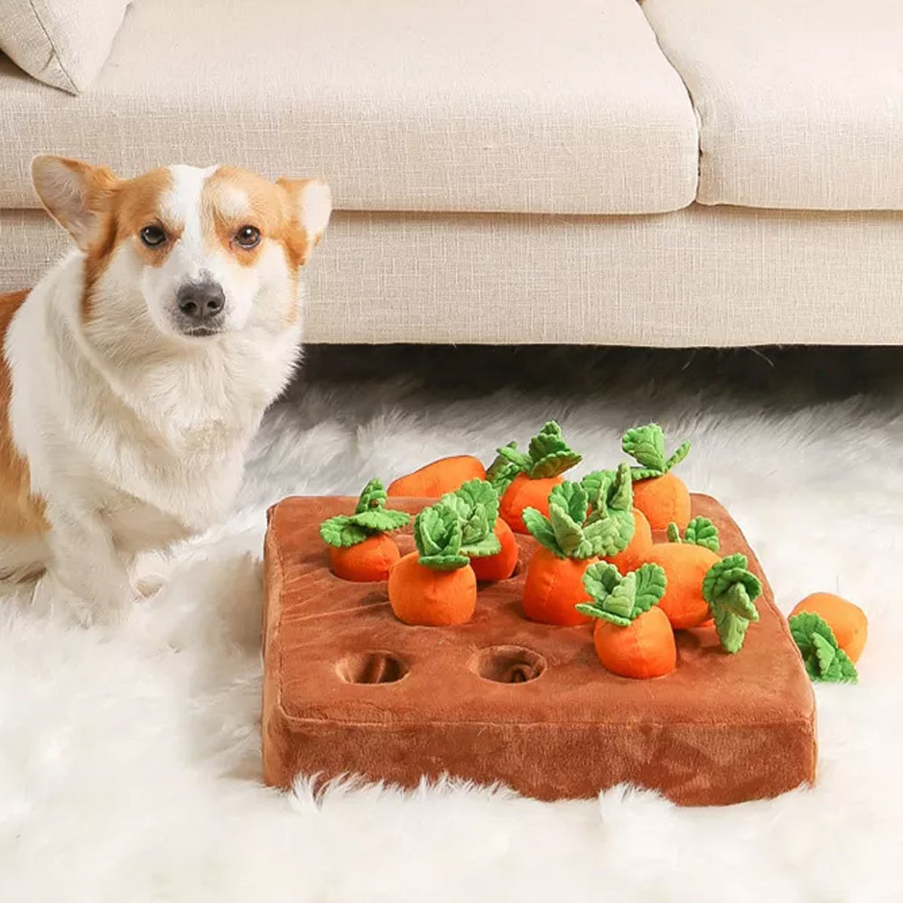 Dog beside the Carrot Crop Interactive Nosework Dog Toy